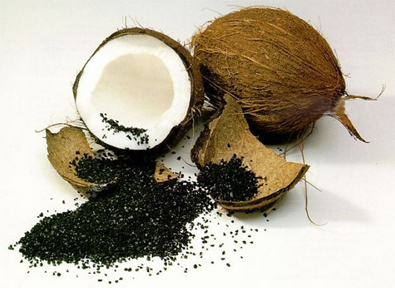 Coconut shell activated carbon